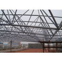 河南高速公路收費(fèi)加油站網(wǎng)架罩棚 鋼結(jié)構(gòu)網(wǎng)架的現(xiàn)代應(yīng)用解析