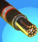 鎧裝式通信電纜5x2x0.6 天津市電纜總廠第一分廠的專業通訊解決方案