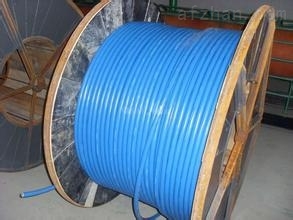 耐高溫計算機電纜規格解析及其在通信與控制系統中的關鍵應用